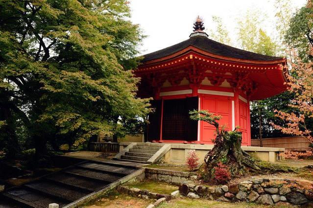Art Stay In Tofukuji Kyoto Eksteriør billede